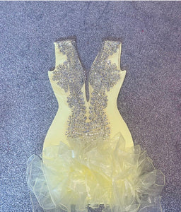 Tulle ruffle detailed dress